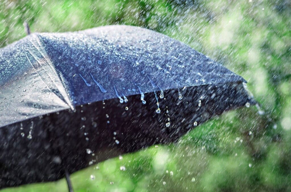 What Coverage Can You Expect from Insurance for Storm Damage?