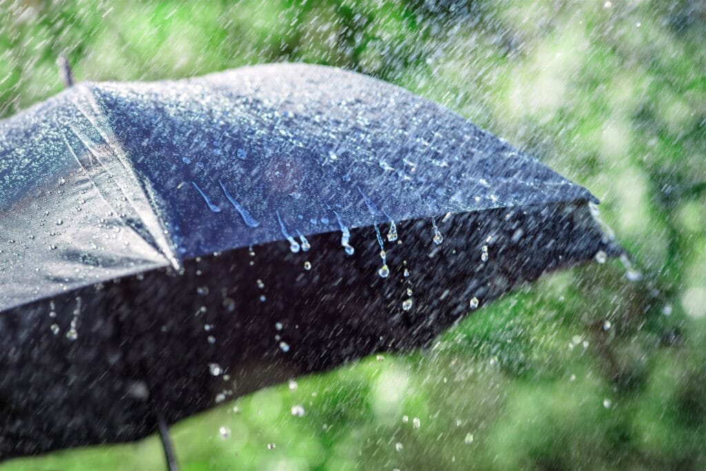 What Coverage Can You Expect from Insurance for Storm Damage?